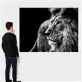 Picture of The Big Cat _GroupedProduct_Rectangle_Landscape_Photography _GroupedProduct_Rectangle_Landscape_Canvas_