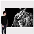Picture of The Big Cat _GroupedProduct_Rectangle_Landscape_Photography _GroupedProduct_Rectangle_Landscape_Canvas_