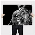 Picture of The Big Cat _GroupedProduct_Rectangle_Landscape_Photography _GroupedProduct_Rectangle_Landscape_Canvas_