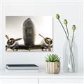 Picture of Plane of Yester Year _GroupedProduct_Rectangle_Landscape_Photography _GroupedProduct_Rectangle_Landscape_Canvas_
