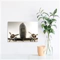 Picture of Plane of Yester Year _GroupedProduct_Rectangle_Landscape_Photography _GroupedProduct_Rectangle_Landscape_Canvas_