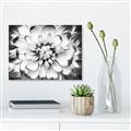 Picture of Black and White Flower _GroupedProduct_Rectangle_Landscape_Photography _GroupedProduct_Rectangle_Landscape_Canvas_