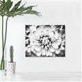 Picture of Black and White Flower _GroupedProduct_Rectangle_Landscape_Photography _GroupedProduct_Rectangle_Landscape_Canvas_