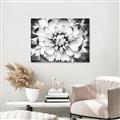 Picture of Black and White Flower _GroupedProduct_Rectangle_Landscape_Photography _GroupedProduct_Rectangle_Landscape_Canvas_