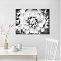 Picture of Black and White Flower _GroupedProduct_Rectangle_Landscape_Photography _GroupedProduct_Rectangle_Landscape_Canvas_