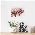 Picture of Flower isolated _GroupedProduct_Rectangle_Landscape_Photography _GroupedProduct_Rectangle_Landscape_Canvas_
