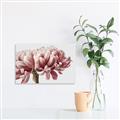 Picture of Flower isolated _GroupedProduct_Rectangle_Landscape_Photography _GroupedProduct_Rectangle_Landscape_Canvas_