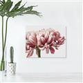 Picture of Flower isolated _GroupedProduct_Rectangle_Landscape_Photography _GroupedProduct_Rectangle_Landscape_Canvas_