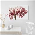 Picture of Flower isolated _GroupedProduct_Rectangle_Landscape_Photography _GroupedProduct_Rectangle_Landscape_Canvas_