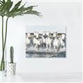Picture of White Horses _GroupedProduct_Rectangle_Landscape_Photography _GroupedProduct_Rectangle_Landscape_Canvas_