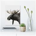 Picture of Moose _GroupedProduct_Rectangle_Portrait_Photography _GroupedProduct_Rectangle_Portrait_Canvas_