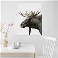 Picture of Moose _GroupedProduct_Rectangle_Portrait_Photography _GroupedProduct_Rectangle_Portrait_Canvas_