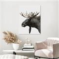 Picture of Moose _GroupedProduct_Rectangle_Portrait_Photography _GroupedProduct_Rectangle_Portrait_Canvas_