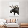 Picture of Moose _GroupedProduct_Rectangle_Portrait_Photography _GroupedProduct_Rectangle_Portrait_Canvas_