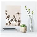 Picture of Palm Goddess _GroupedProduct_Rectangle_Portrait_Photography _GroupedProduct_Rectangle_Portrait_Canvas_