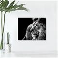 Picture of The Big Cat _GroupedProduct_Rectangle_Landscape_Photography _GroupedProduct_Rectangle_Landscape_Canvas_