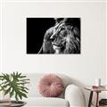 Picture of The Big Cat _GroupedProduct_Rectangle_Landscape_Photography _GroupedProduct_Rectangle_Landscape_Canvas_