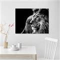 Picture of The Big Cat _GroupedProduct_Rectangle_Landscape_Photography _GroupedProduct_Rectangle_Landscape_Canvas_
