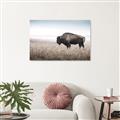 Picture of Bison Field _GroupedProduct_Rectangle_Landscape_Photography _GroupedProduct_Rectangle_Landscape_Canvas_