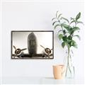 Picture of Plane of Yester Year _GroupedProduct_Rectangle_Landscape_Photography _GroupedProduct_Rectangle_Landscape_Canvas_Framed_