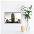Picture of Plane of Yester Year _GroupedProduct_Rectangle_Landscape_Photography _GroupedProduct_Rectangle_Landscape_Canvas_Framed_