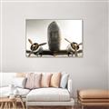 Picture of Plane of Yester Year _GroupedProduct_Rectangle_Landscape_Photography _GroupedProduct_Rectangle_Landscape_Canvas_Framed_