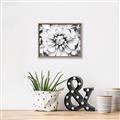 Picture of Black and White Flower _GroupedProduct_Rectangle_Landscape_Photography _GroupedProduct_Rectangle_Landscape_Canvas_Framed_