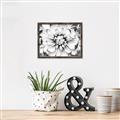 Picture of Black and White Flower _GroupedProduct_Rectangle_Landscape_Photography _GroupedProduct_Rectangle_Landscape_Canvas_Framed_