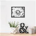 Picture of Black and White Flower _GroupedProduct_Rectangle_Landscape_Photography _GroupedProduct_Rectangle_Landscape_Canvas_Framed_