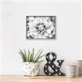Picture of Black and White Flower _GroupedProduct_Rectangle_Landscape_Photography _GroupedProduct_Rectangle_Landscape_Canvas_Framed_