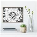 Picture of Black and White Flower _GroupedProduct_Rectangle_Landscape_Photography _GroupedProduct_Rectangle_Landscape_Canvas_Framed_