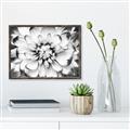 Picture of Black and White Flower _GroupedProduct_Rectangle_Landscape_Photography _GroupedProduct_Rectangle_Landscape_Canvas_Framed_