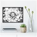 Picture of Black and White Flower _GroupedProduct_Rectangle_Landscape_Photography _GroupedProduct_Rectangle_Landscape_Canvas_Framed_