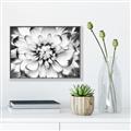 Picture of Black and White Flower _GroupedProduct_Rectangle_Landscape_Photography _GroupedProduct_Rectangle_Landscape_Canvas_Framed_