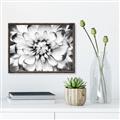 Picture of Black and White Flower _GroupedProduct_Rectangle_Landscape_Photography _GroupedProduct_Rectangle_Landscape_Canvas_Framed_