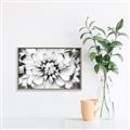 Picture of Black and White Flower _GroupedProduct_Rectangle_Landscape_Photography _GroupedProduct_Rectangle_Landscape_Canvas_Framed_