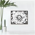 Picture of Black and White Flower _GroupedProduct_Rectangle_Landscape_Photography _GroupedProduct_Rectangle_Landscape_Canvas_Framed_