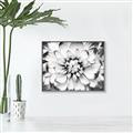 Picture of Black and White Flower _GroupedProduct_Rectangle_Landscape_Photography _GroupedProduct_Rectangle_Landscape_Canvas_Framed_