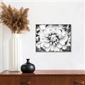 Picture of Black and White Flower _GroupedProduct_Rectangle_Landscape_Photography _GroupedProduct_Rectangle_Landscape_Canvas_Framed_