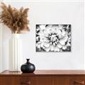 Picture of Black and White Flower _GroupedProduct_Rectangle_Landscape_Photography _GroupedProduct_Rectangle_Landscape_Canvas_Framed_