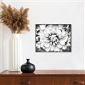 Picture of Black and White Flower _GroupedProduct_Rectangle_Landscape_Photography _GroupedProduct_Rectangle_Landscape_Canvas_Framed_