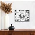 Picture of Black and White Flower _GroupedProduct_Rectangle_Landscape_Photography _GroupedProduct_Rectangle_Landscape_Canvas_Framed_