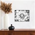 Picture of Black and White Flower _GroupedProduct_Rectangle_Landscape_Photography _GroupedProduct_Rectangle_Landscape_Canvas_Framed_