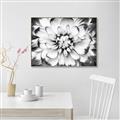 Picture of Black and White Flower _GroupedProduct_Rectangle_Landscape_Photography _GroupedProduct_Rectangle_Landscape_Canvas_Framed_