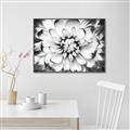 Picture of Black and White Flower _GroupedProduct_Rectangle_Landscape_Photography _GroupedProduct_Rectangle_Landscape_Canvas_Framed_