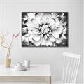 Picture of Black and White Flower _GroupedProduct_Rectangle_Landscape_Photography _GroupedProduct_Rectangle_Landscape_Canvas_Framed_