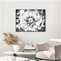 Picture of Black and White Flower _GroupedProduct_Rectangle_Landscape_Photography _GroupedProduct_Rectangle_Landscape_Canvas_Framed_