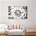 Picture of Black and White Flower _GroupedProduct_Rectangle_Landscape_Photography _GroupedProduct_Rectangle_Landscape_Canvas_Framed_
