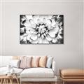 Picture of Black and White Flower _GroupedProduct_Rectangle_Landscape_Photography _GroupedProduct_Rectangle_Landscape_Canvas_Framed_
