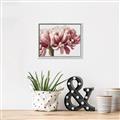 Picture of Flower isolated _GroupedProduct_Rectangle_Landscape_Photography _GroupedProduct_Rectangle_Landscape_Canvas_Framed_